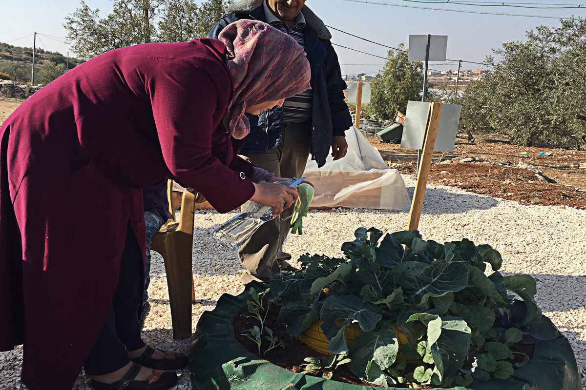A woman tends to her garden in the west bank.