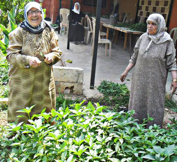 Palestinian women work in a community garden.