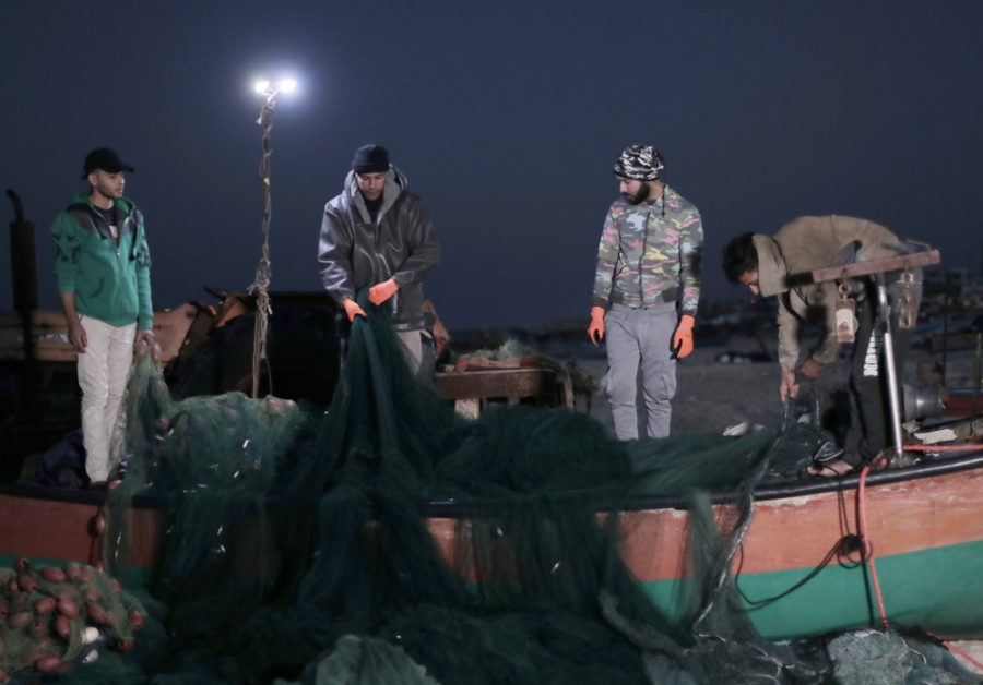 Fishermen ringing in nets